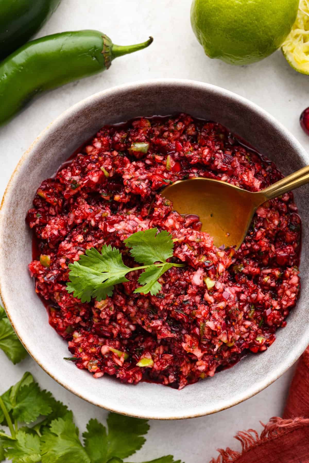 Cranberry Salsa (The Best Holiday Appetizer!)