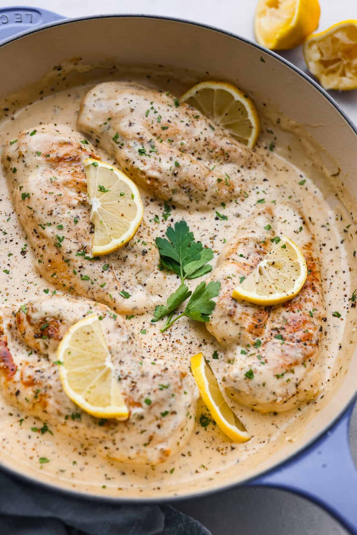 Creamy Lemon Parmesan Chicken Recipe